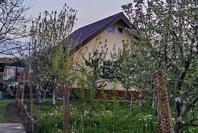 Casă cu 2 camere cu Teren 800 Mp în Galicea Mare - 13