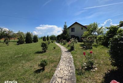 Casă cu 4 camere cu Teren 5095 Mp în Șoimuș - 4