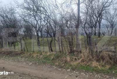 Teren de 3781 mp, în Izvoarele - 5