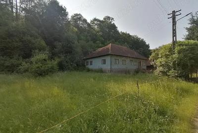 Teren de 1981 mp, în Ormindea - 9
