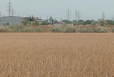 Teren de 8400 mp, în Zona Industrială - 3