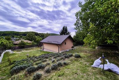 Casă cu 2 camere cu Teren 2647 Mp în Valea Mare - 11
