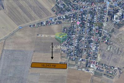 Teren Construcții intravilan de 16234 mp, în Cernica - 1