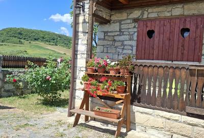 Casă cu 4 camere în Cornești - 1