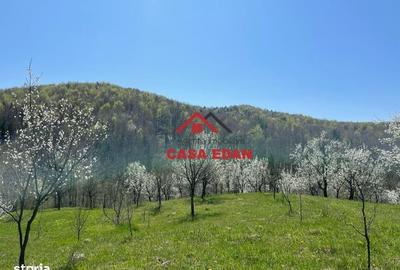 Spațiu comercial, în Brebu - 16