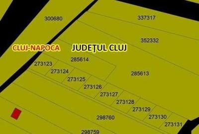 Teren de 50000 mp, în Florești