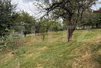 Casă cu 4 camere cu Teren 4800 Mp în Central