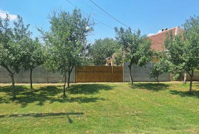 Casă cu Teren 5095 Mp în Călacea - 1