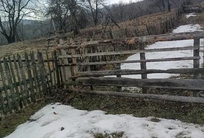 Teren de 1200 mp, în Teșila - 3