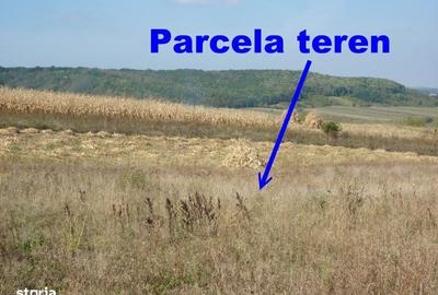 Spațiu comercial, în Hidiș - 10