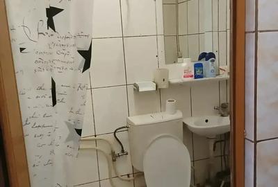 Garsonieră nedecomandată, mobilată în Valea Rosie
