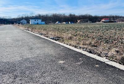 Teren Construcții de 1600 mp, în Ciofliceni - 7