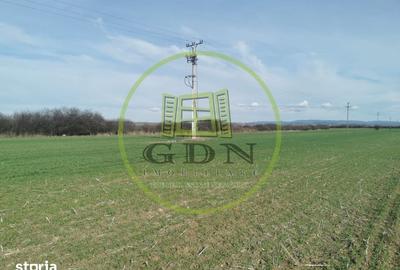 Teren de 21496 mp, în Saca - 5