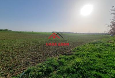 Teren agricol extravilan de 5000 mp, în Urleta - 2