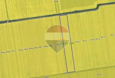 Teren Construcții intravilan de 45000 mp, în Tunari