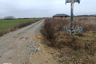 Teren de 660 mp, în Viile Satu Mare - 5