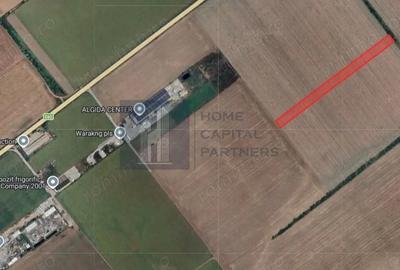 Teren de 15000 mp, în Găneasa
