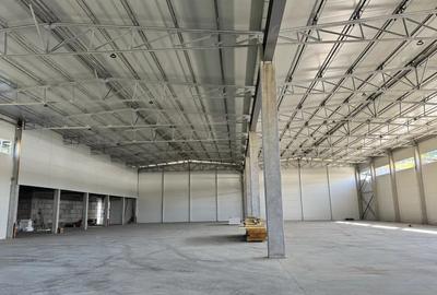 Spațiu industrial, de 1,373 mp, în Baciu - 3