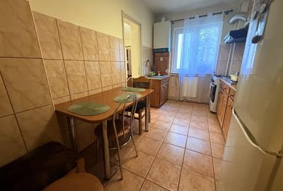 Apartament cu 3 camere decomandat în Mănăștur - 10