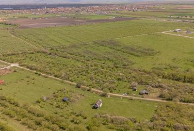 Teren Construcții intravilan de 2717 mp, în Sânpetru - 2