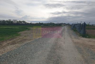 Teren în Măgurele - 7