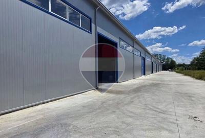 Spațiu industrial, de 9,700 mp, în Central