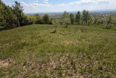 Teren de 1400 mp, în Fărcașa - 7