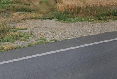 Teren de 7500 mp, în Ghimpați