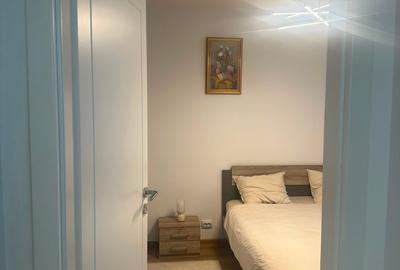 Apartament cu 2 camere semidecomandat în Dristor - 11
