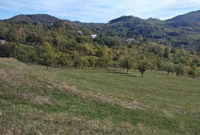 Teren de 8316 mp, în Berislăvești - 2