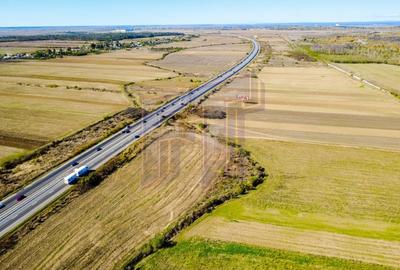 Teren Construcții extravilan de 31700 mp, în Uliești - 2