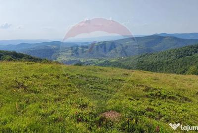 Teren de 128948 mp, în Munteni - 12