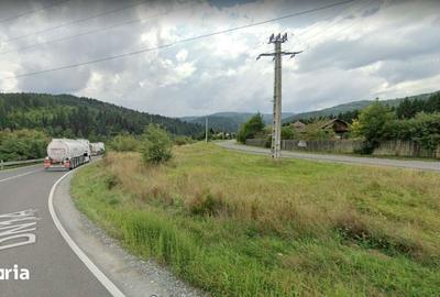 Teren de 9000 mp, în Brădet - 2