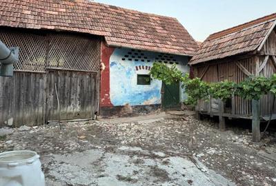 Casă cu 5 camere cu Teren 1600 Mp în Păuca - 4
