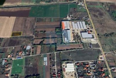 Teren agricol extravilan de 3915 mp, în Vânători - 3