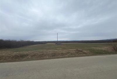 Teren intravilan de 16760 mp, în Periferie - 1