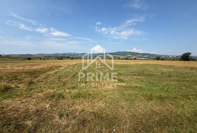 Teren de 780 mp, în Partoș
