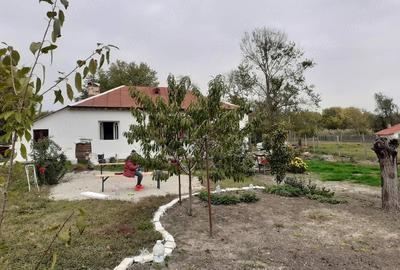Casă cu Teren 1592 Mp în Schitu - 2