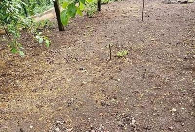 Casă cu 4 camere cu Teren 791 Mp în Bărăbanț - 4