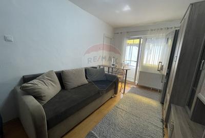 Apartament cu 1 camere semidecomandat, mobilat în Micălaca - 3