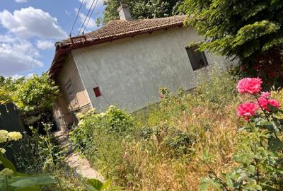 Casă cu 3 camere cu Teren 431 Mp în Viile Noi - 2