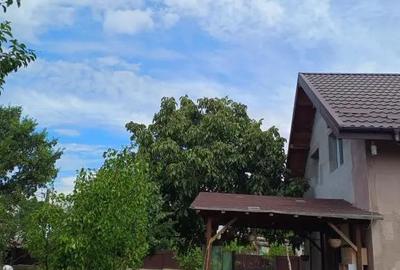 Casă cu 2 camere cu Teren 1600 Mp în Bosia - 5