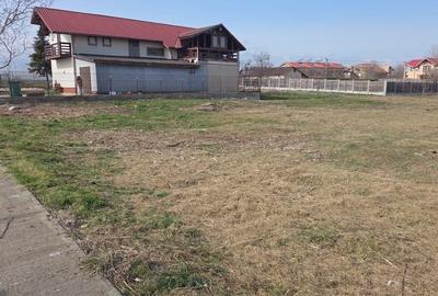 Teren de 1000 mp, în Schitu