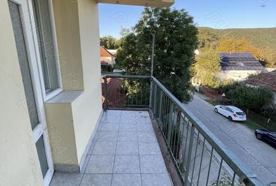 Apartament cu 2 camere decomandat în Săvârșin - 1