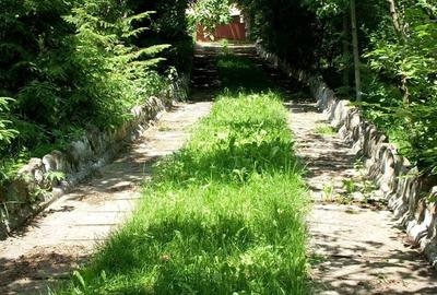 Teren de 14000 mp, în Mihai Viteazu - 12