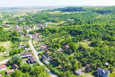 Teren în Bădești - 1