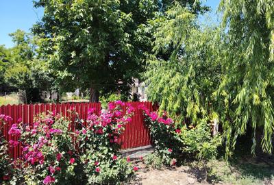 Casă cu 4 camere în Cotorca - 1