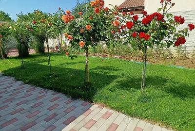 Casă cu Teren 350 Mp în Giroc