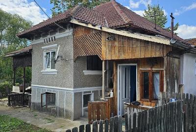 Casă cu Teren 4012 Mp în Bogdănești (Tomșani) - 1