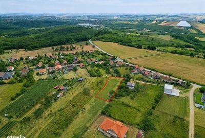 Spațiu comercial, în Săldăbagiu de Munte